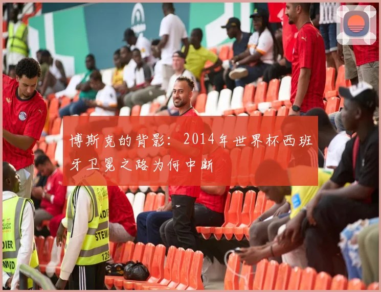 博斯克的背影：2014年世界杯西班牙卫冕之路为何中断