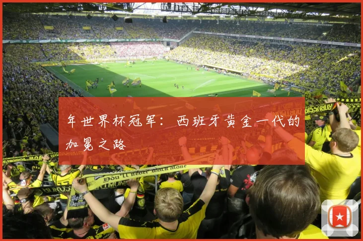 年世界杯冠军：西班牙黄金一代的加冕之路