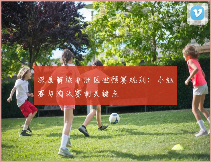 深度解读非洲区世预赛规则：小组赛与淘汰赛制关键点