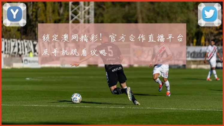 锁定澳网精彩!官方合作直播平台及手机观看攻略