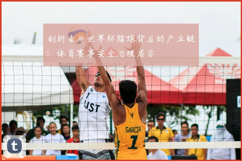 剖析南非世界杯赌球背后的产业链:体育赛事安全治理启示