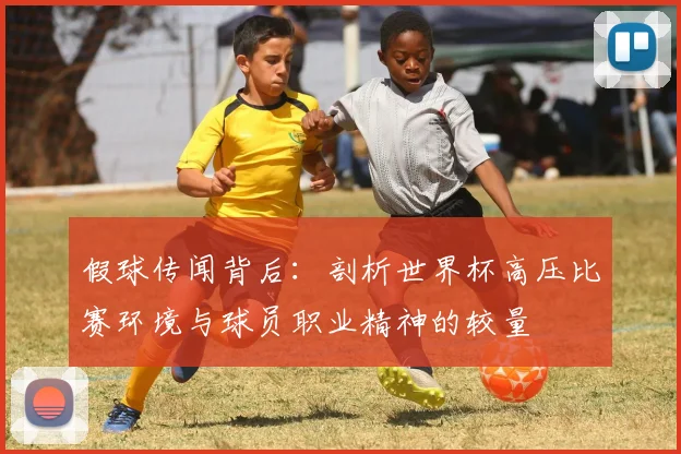 假球传闻背后：剖析世界杯高压比赛环境与球员职业精神的较量