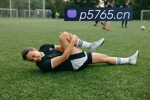 App Interface Preview